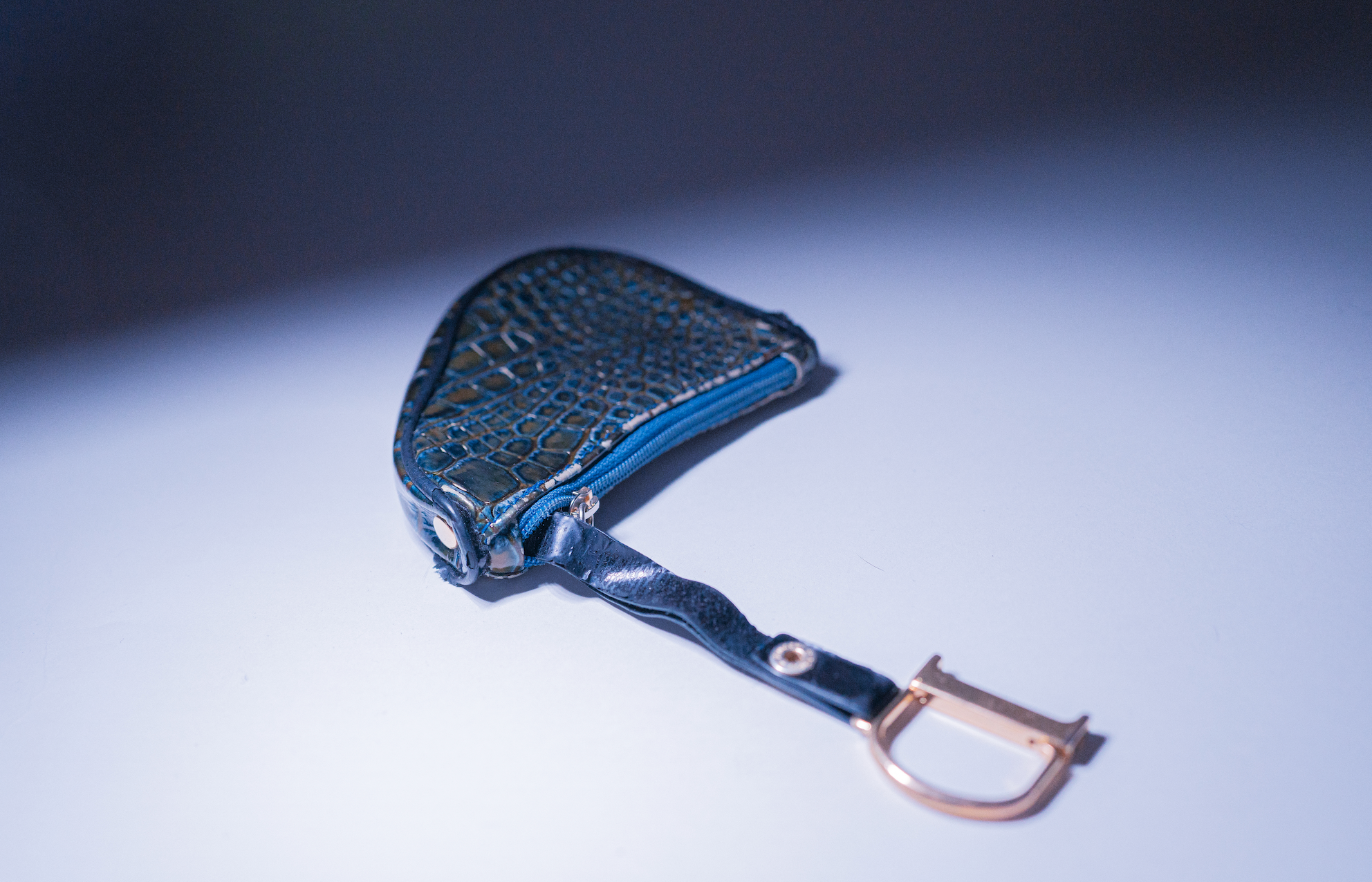 Christian Dior Saddle Croc Coin Purse