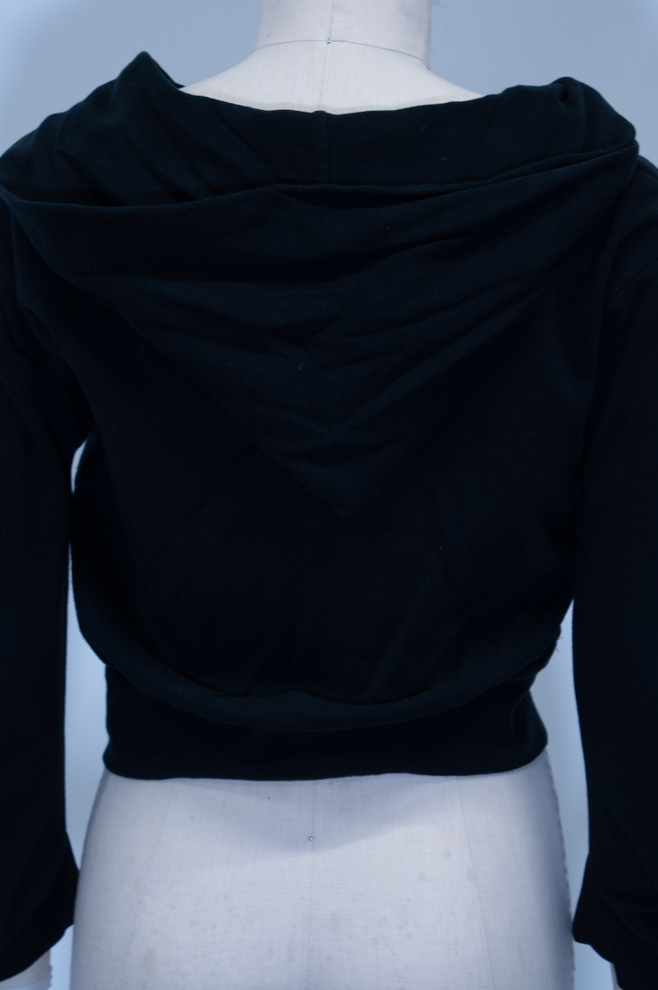 Vivienne Westwood Zip-Up Cropped Hoodie