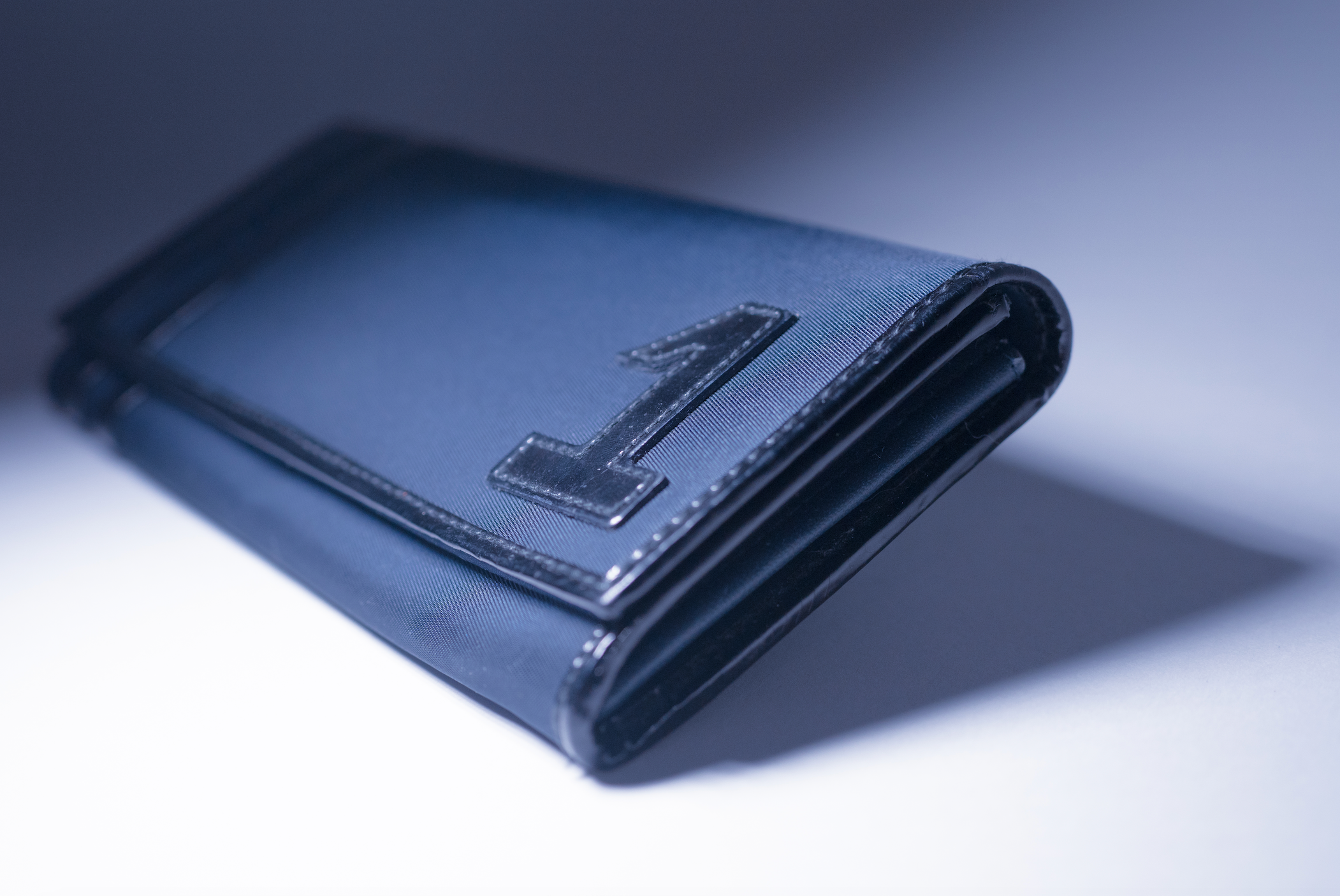 Christian Dior Nylon Long Wallet