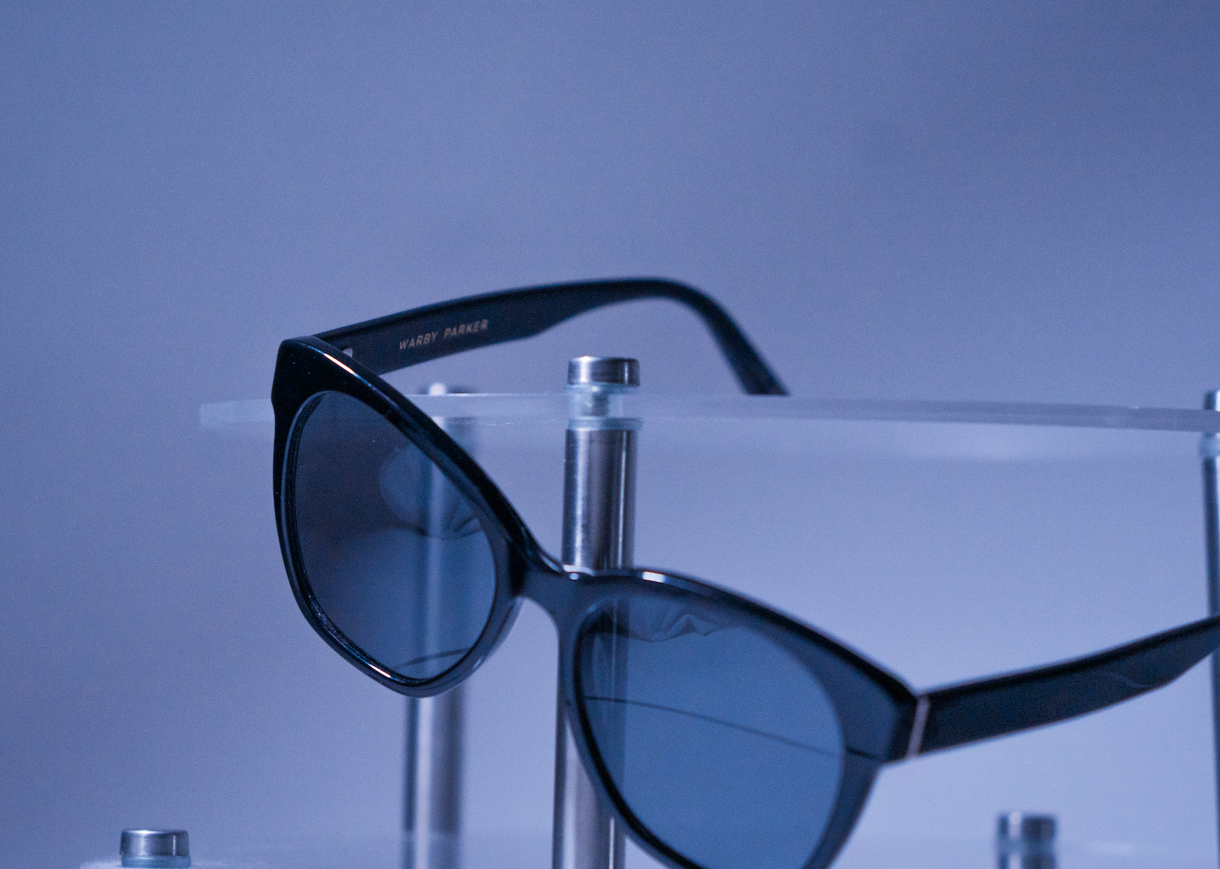 Warby Parker Wayfarer Sunglasses