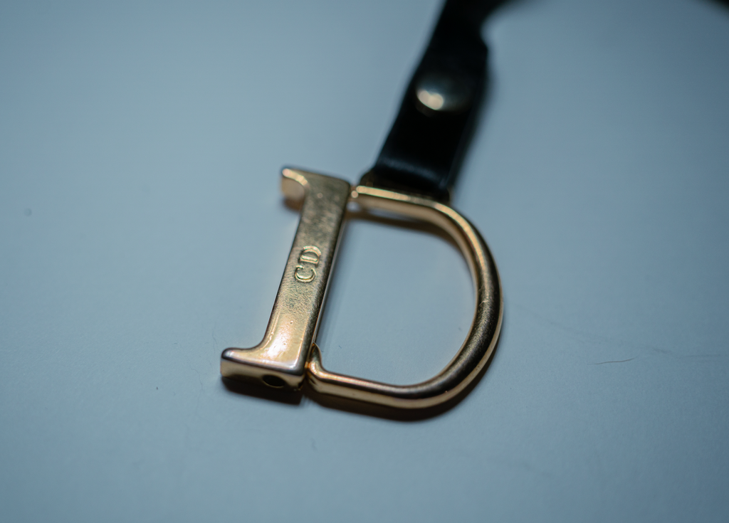 Christian Dior Saddle Croc Coin Purse